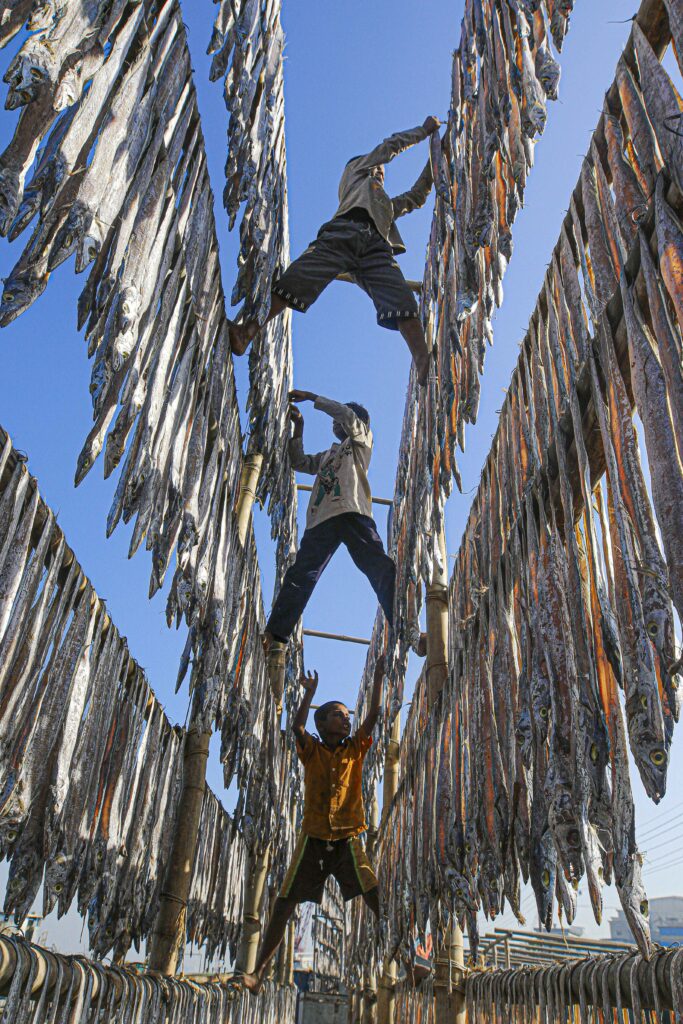 dried fish workers